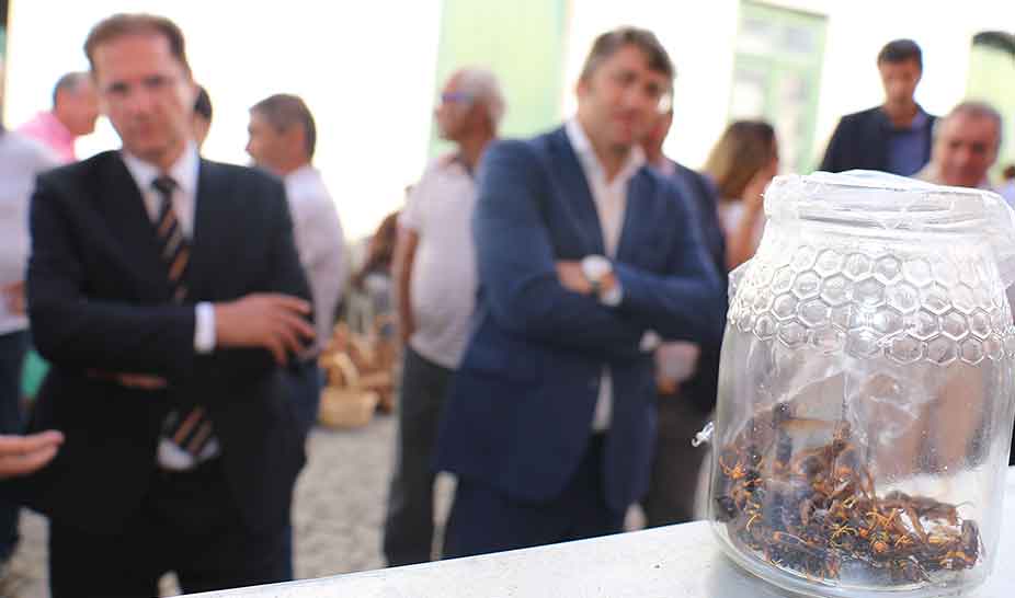 O mel voltou a ser rei na 30º Feira do Espinhal