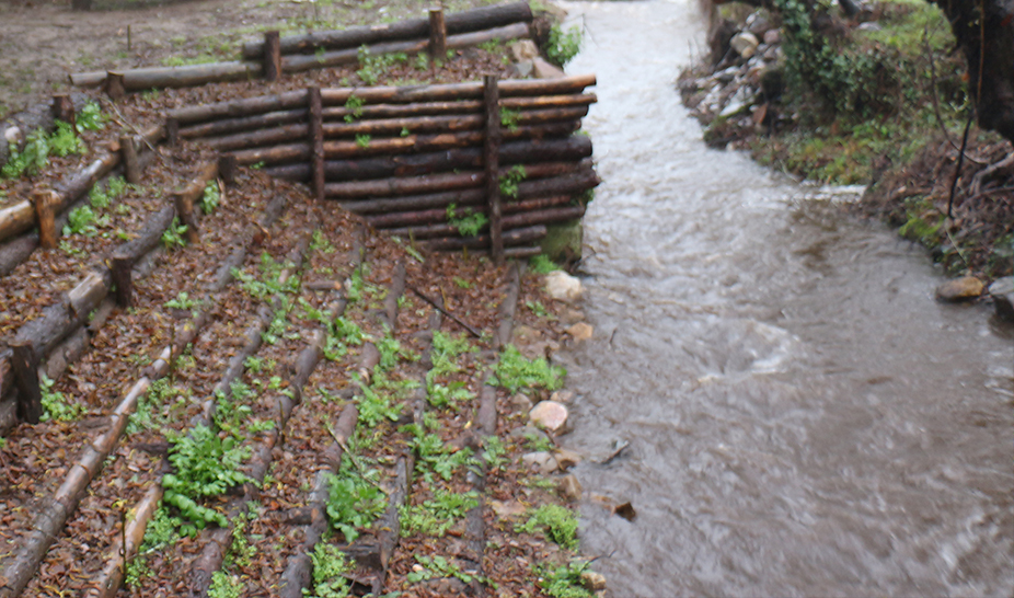 Engenharia Natural é caso de estudo na Quinta da Cerca