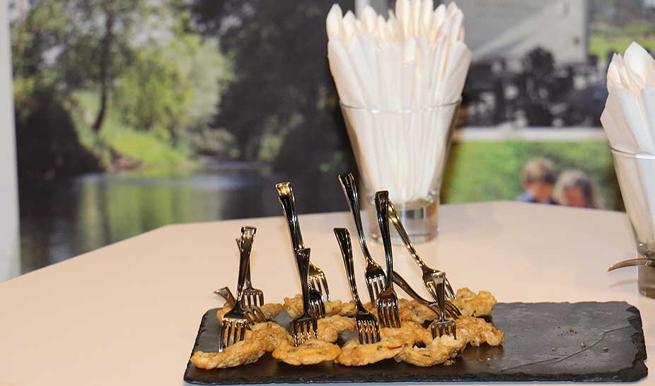 PENELA. Festas de S. Miguel