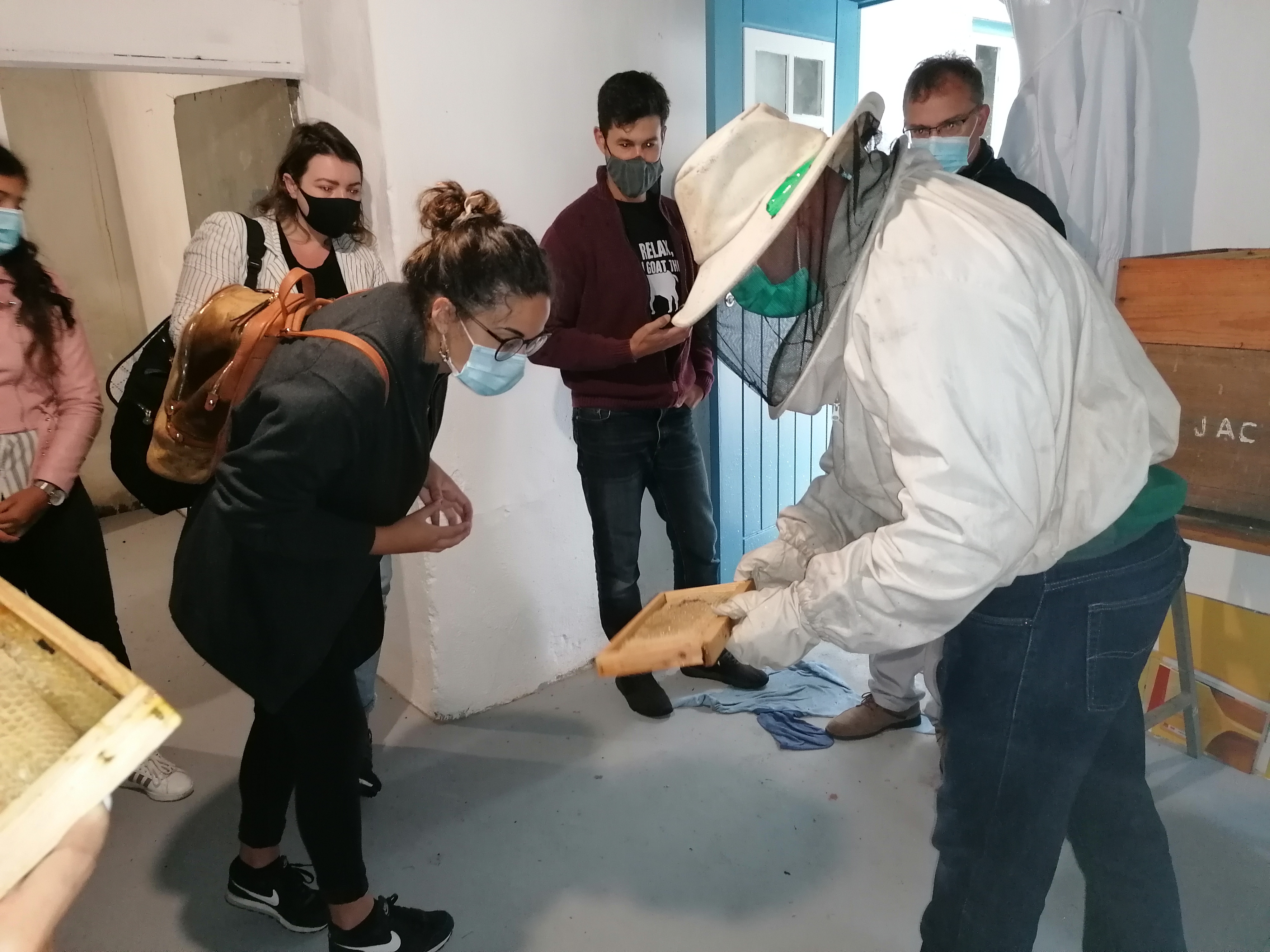 Conhecer e Valorizar o Território do Xisto 