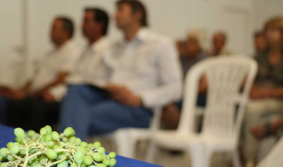 Vinhos Terras de Sicó em destaque na Vinália