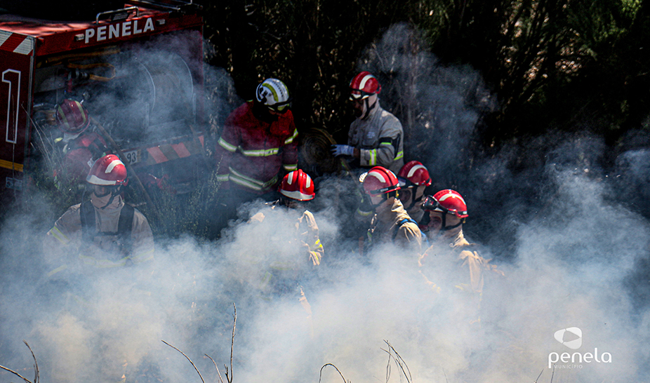 Ações de fogo controlado realizadas em Penela