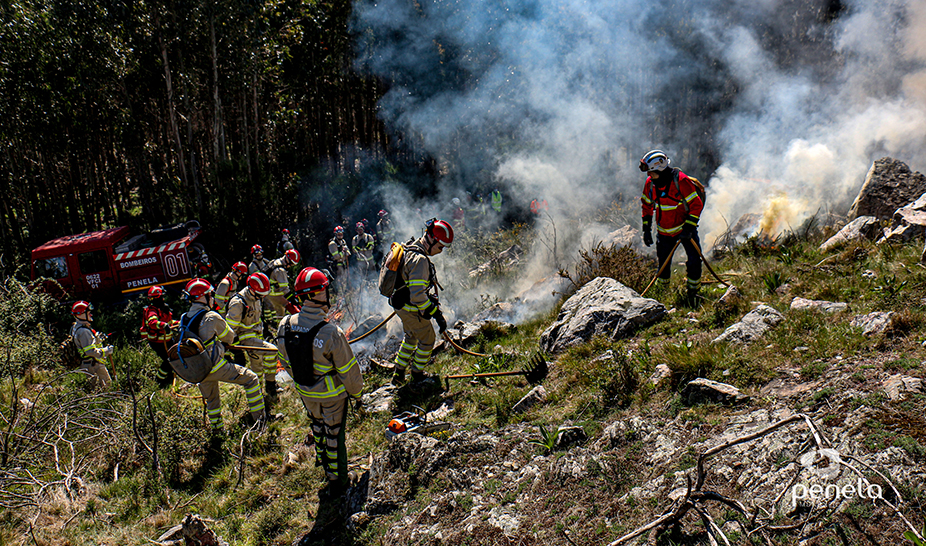 Ações de fogo controlado realizadas em Penela