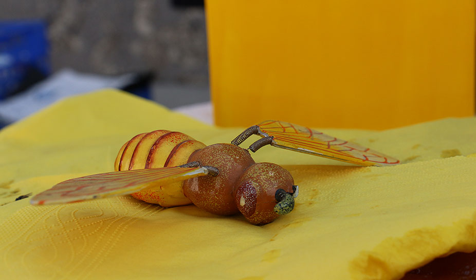 Espinhal voltou, pelo vigésimo oitavo ano, a ser rei na terra do mel