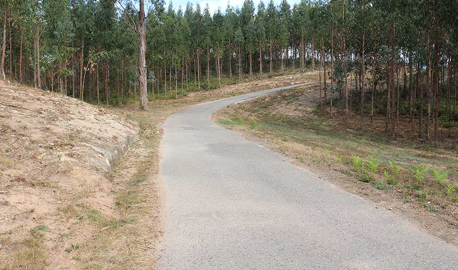 Constituição da Faixa de Gestão de Combustível na Rede de Caminhos e Estradas Municipais
