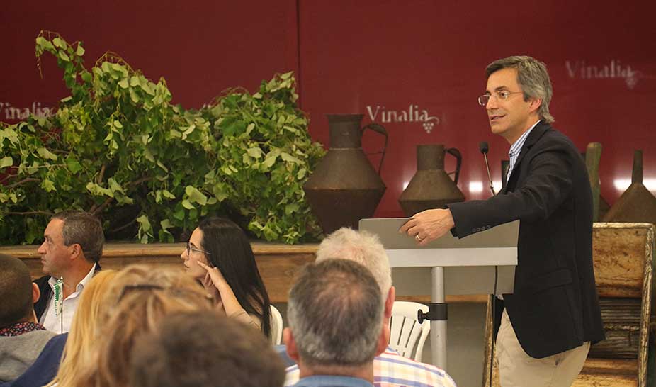 Vinho Terras de Sicó brilharam na X Vinália - o sabor de Podentes