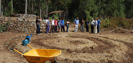 Grupo de trabalho Face