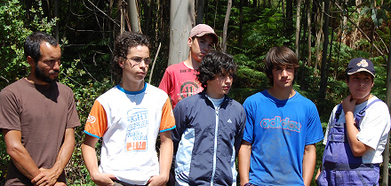 Grupo de trabalho Face