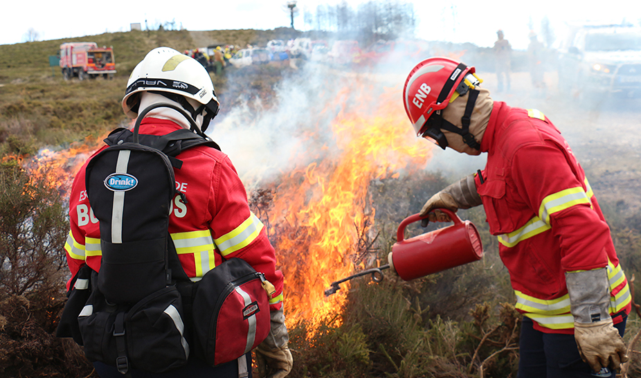Ação de Fogo Controlado ajuda a prevenir incêndios florestais