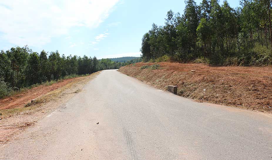 Constituição da Faixa de Gestão de Combustível na Rede de Caminhos e Estradas Municipais