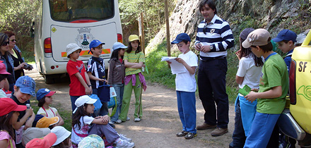 Crianças do Espinhal colocam ninhos na Pedra da Ferida