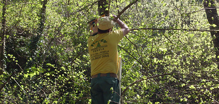 Crianças do Espinhal colocam ninhos na Louçainha