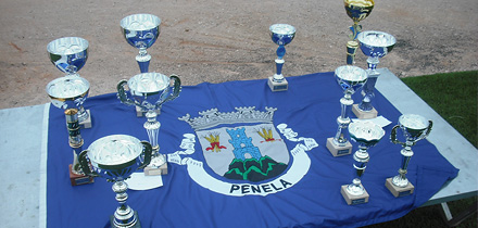 Final do Torneio Inter-Freguesias de Fut. 7