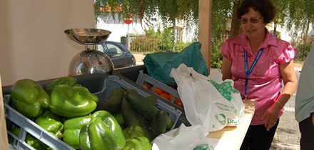 Mercado de Agricultura Familiar e Tradicional de Penela