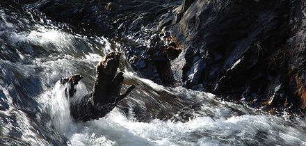 cascata da Pedra da Ferida 