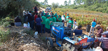 Penela “FEEL THE LAND”, bucha