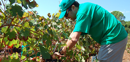 Penela “FEEL THE LAND”