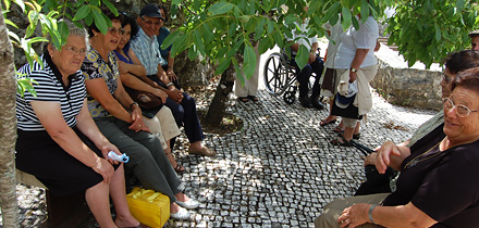 Semana do Idoso, CISED