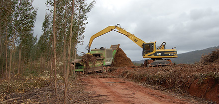 Recolha e processamento da biomassa florestal residual